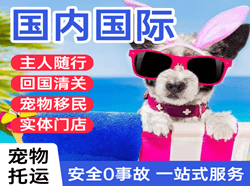 通化三源浦机场快递国际宠物托运 【国